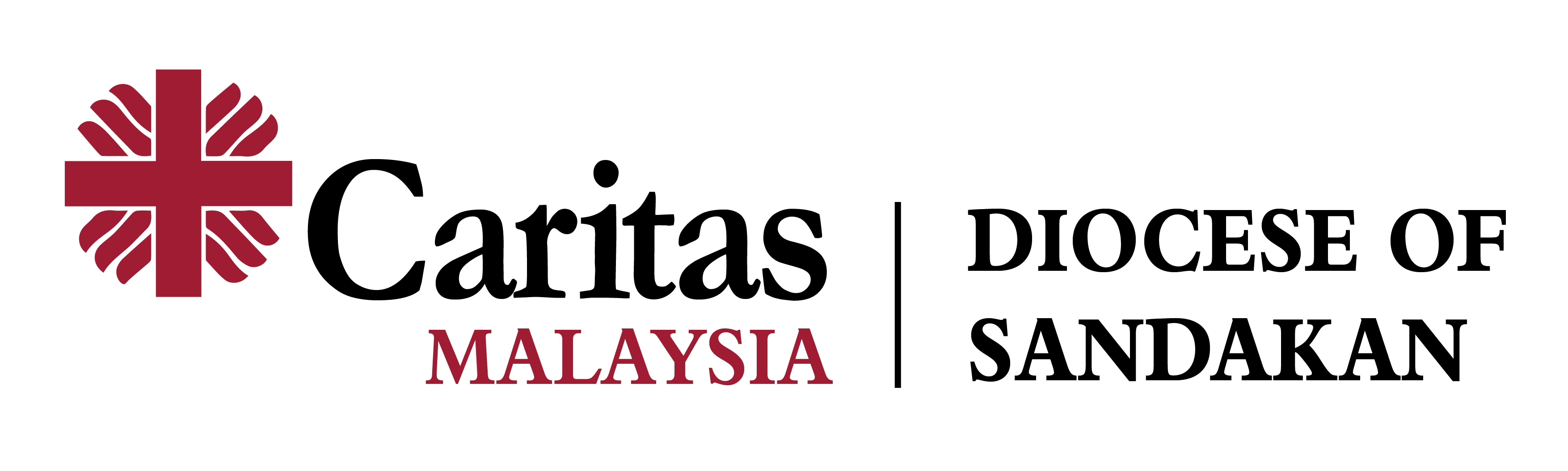 Skn cm logo colour transparent 01
